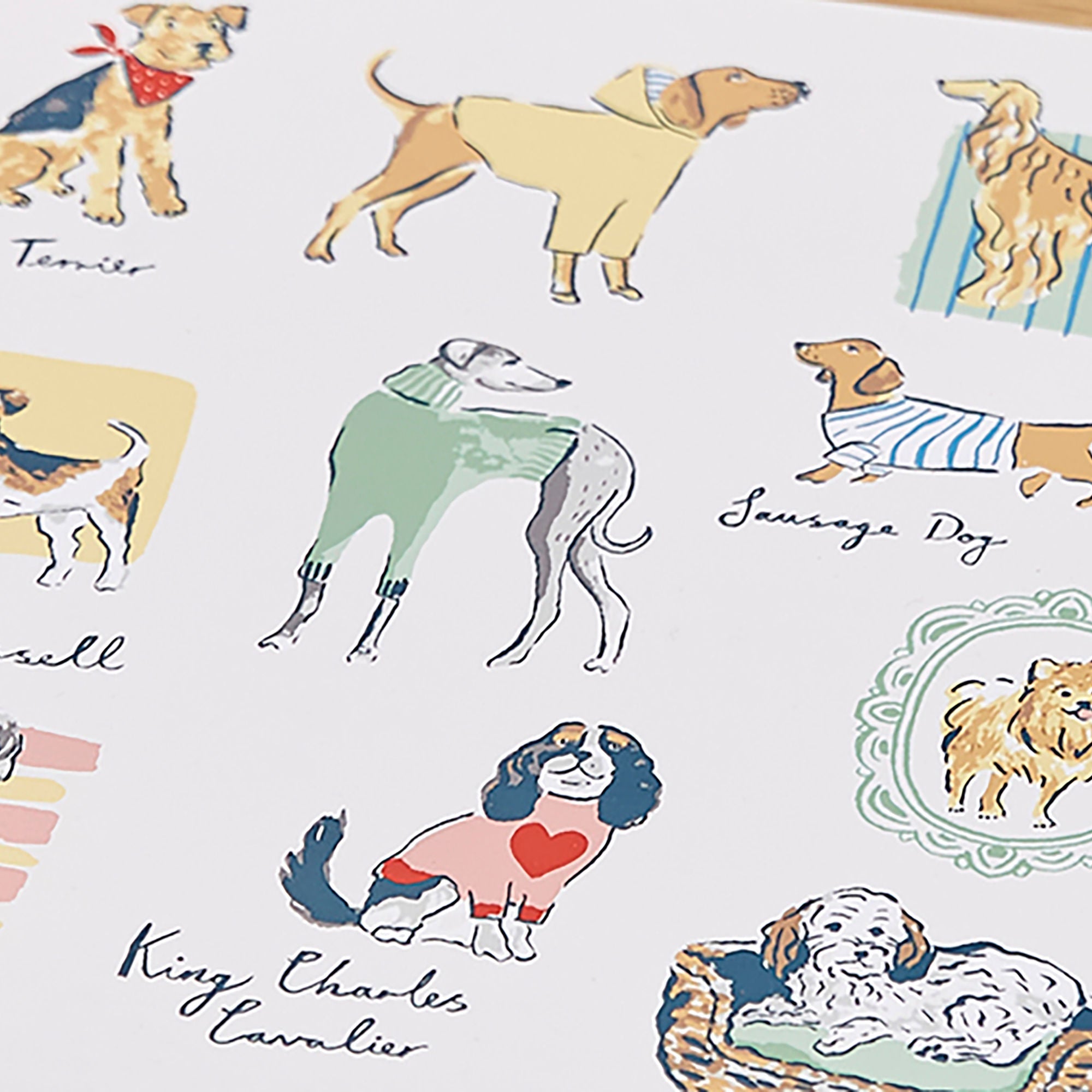 Lot de 4 sets de table « Best In Show » multicolores