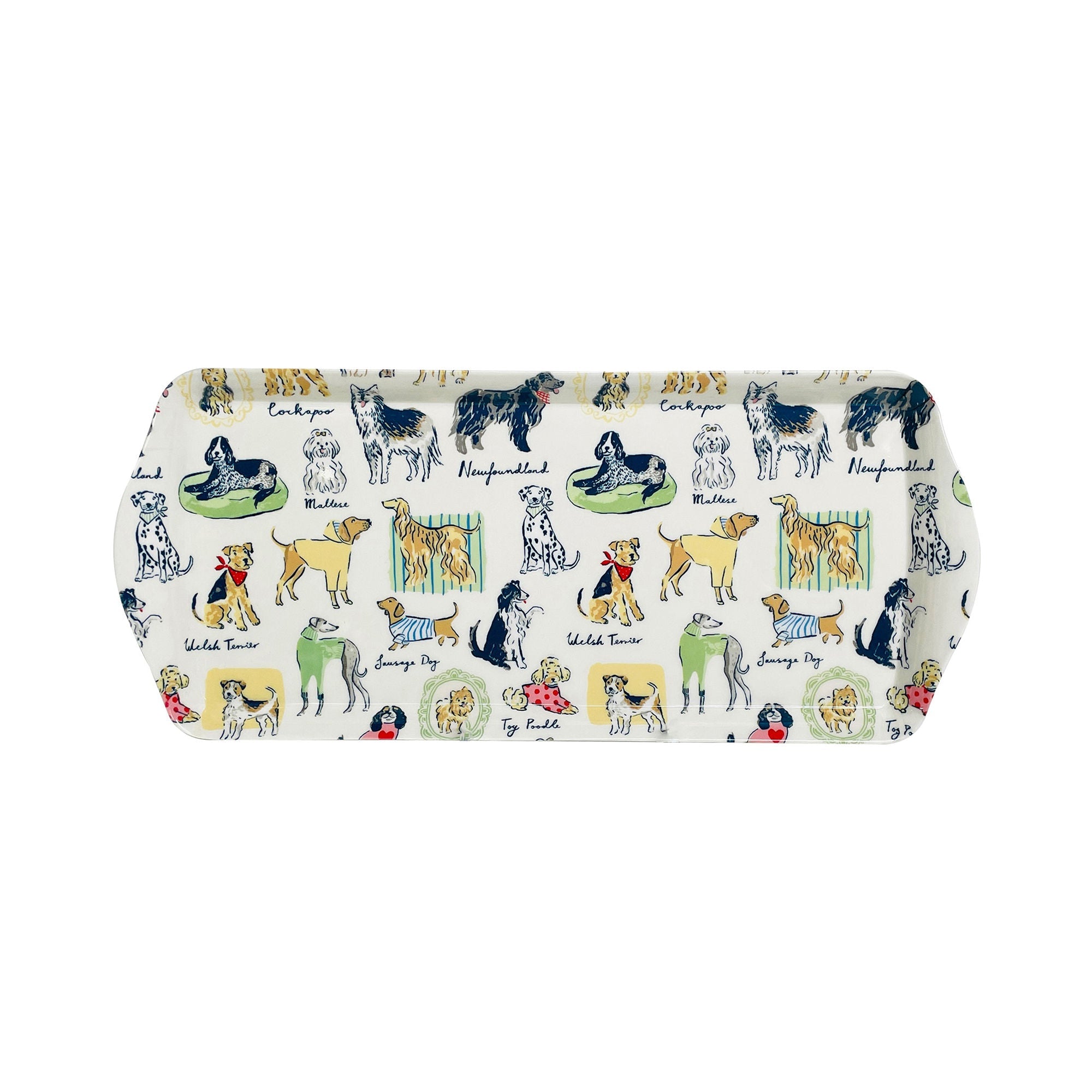 Meilleur plateau de service petit format multicolore