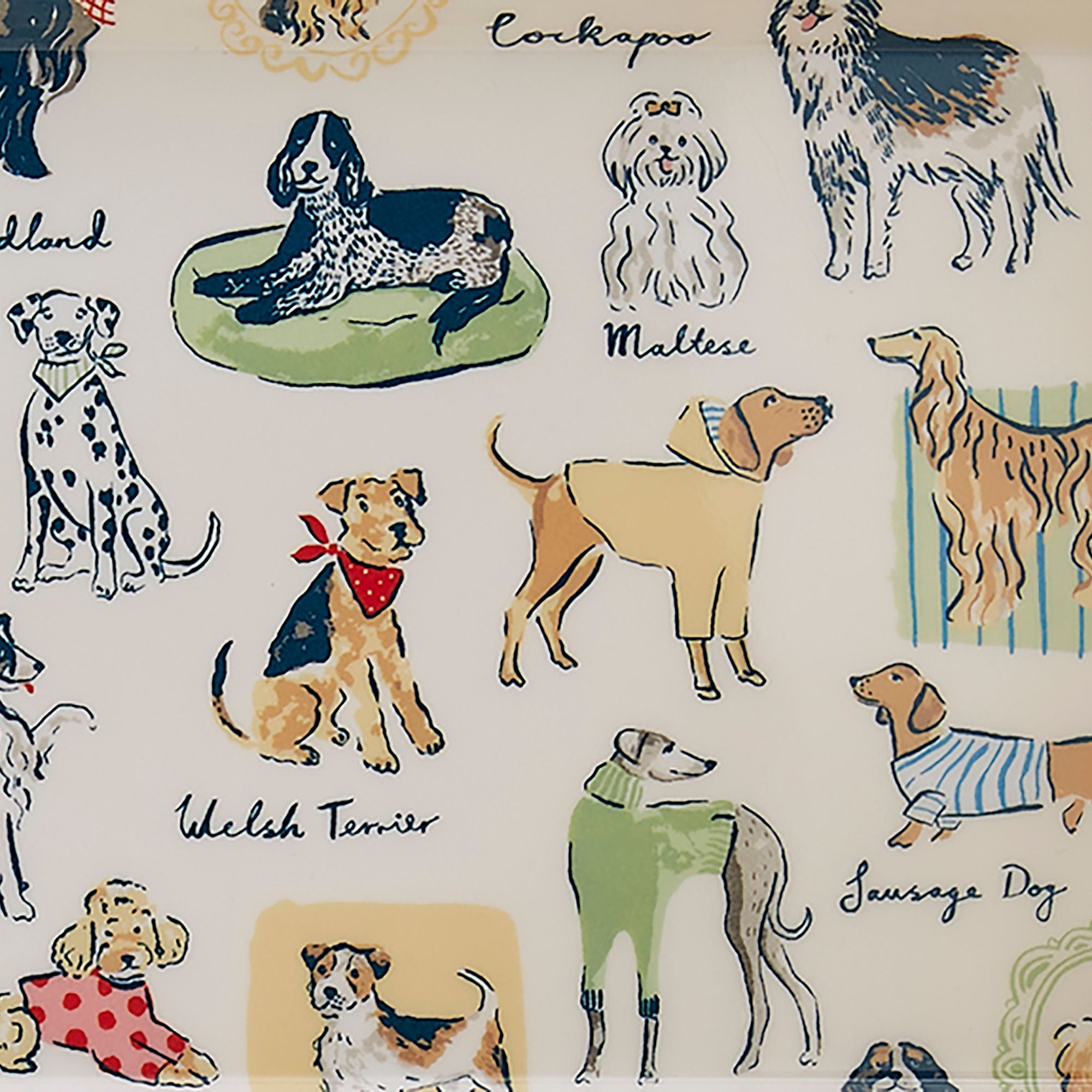 Meilleur plateau de service petit format multicolore