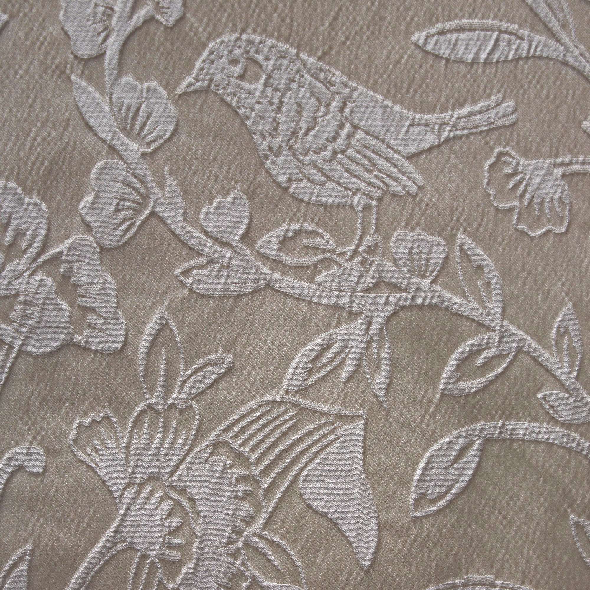 Taie d'oreiller Elysia simple Oxford couleur champagne 50 x 75 cm